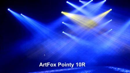 ArtFox Pointy 10R